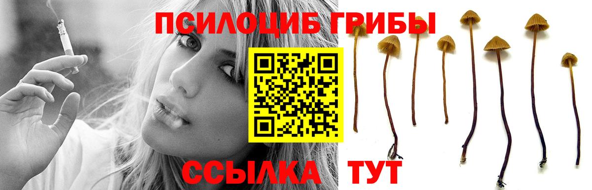 Псилоцибиновые грибы мицелий  Вход с VPN  как найти закладки  Ярославль 